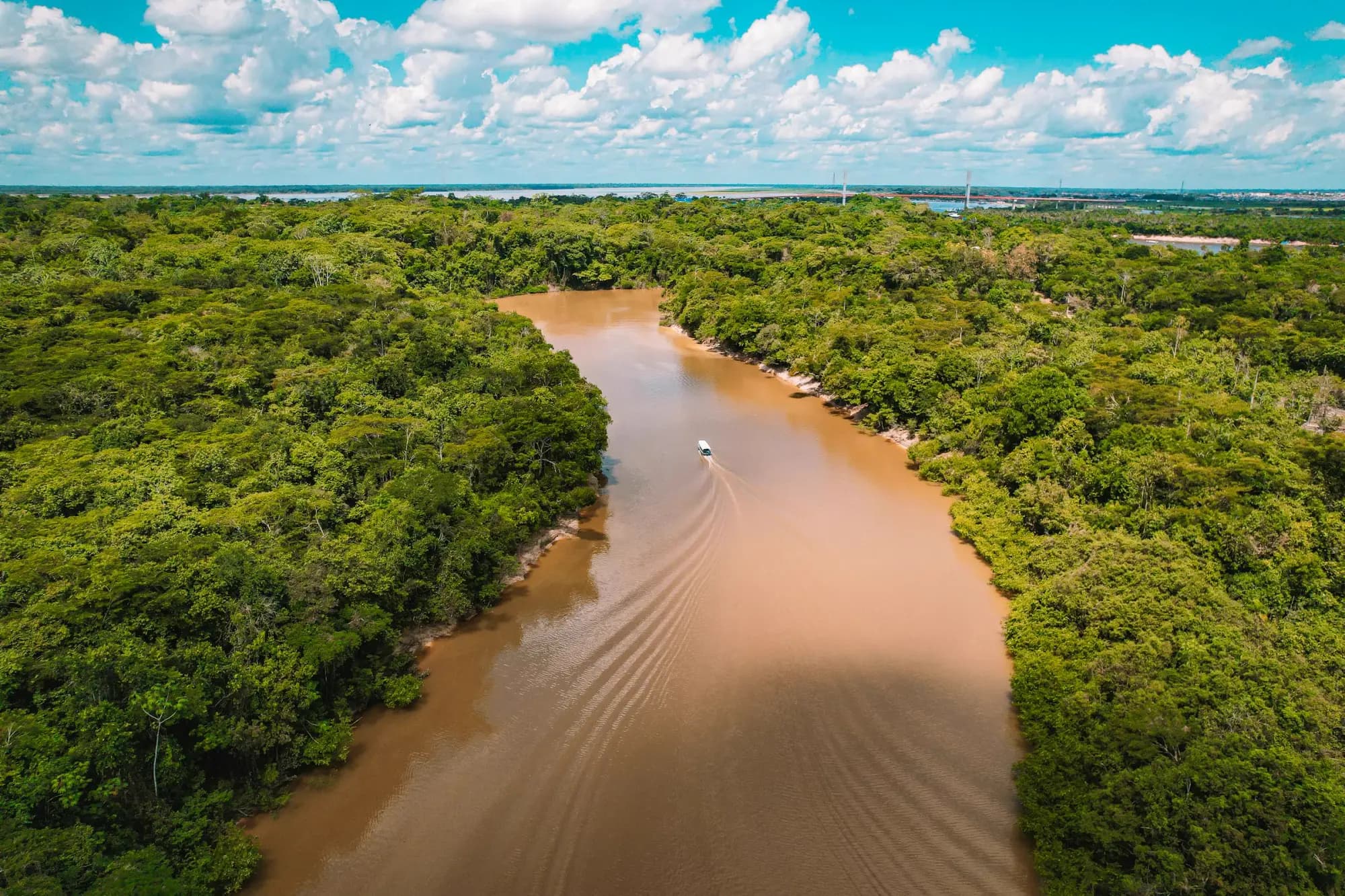 Parc national Madidi, Amazonie